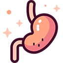 Digestive Health Support